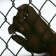 An inmate holds on to a fence at the Louisiana State Penitentiary April 23, 2006, in Angola.
Mario Tama/Getty Images